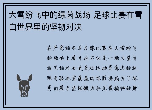大雪纷飞中的绿茵战场 足球比赛在雪白世界里的坚韧对决
