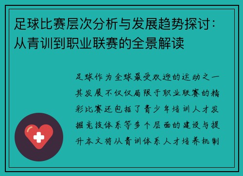 足球比赛层次分析与发展趋势探讨：从青训到职业联赛的全景解读
