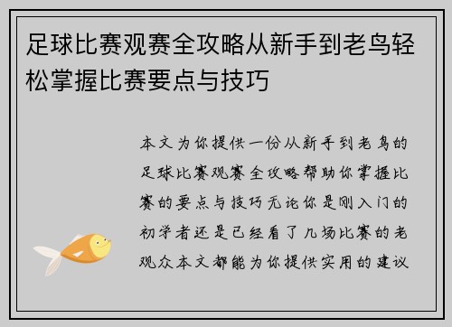 足球比赛观赛全攻略从新手到老鸟轻松掌握比赛要点与技巧