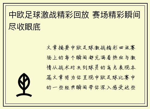 中欧足球激战精彩回放 赛场精彩瞬间尽收眼底