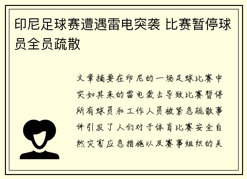 印尼足球赛遭遇雷电突袭 比赛暂停球员全员疏散
