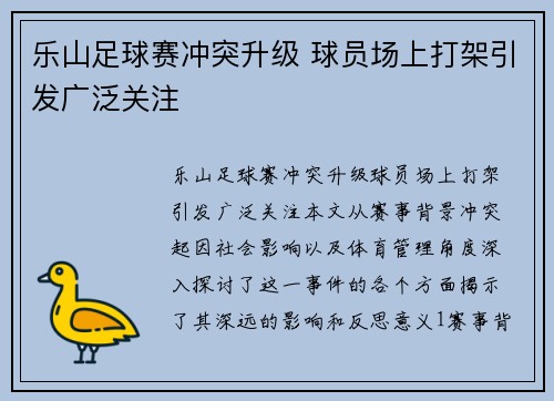 乐山足球赛冲突升级 球员场上打架引发广泛关注