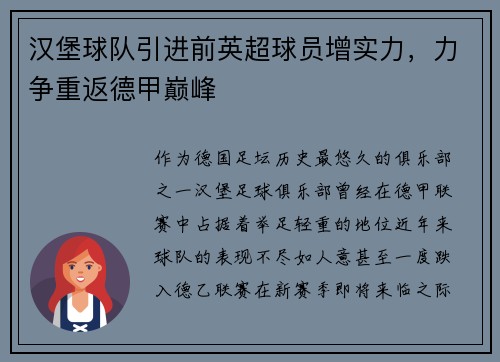 汉堡球队引进前英超球员增实力，力争重返德甲巅峰