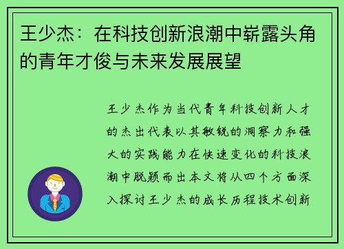 王少杰：在科技创新浪潮中崭露头角的青年才俊与未来发展展望