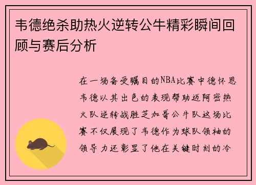韦德绝杀助热火逆转公牛精彩瞬间回顾与赛后分析
